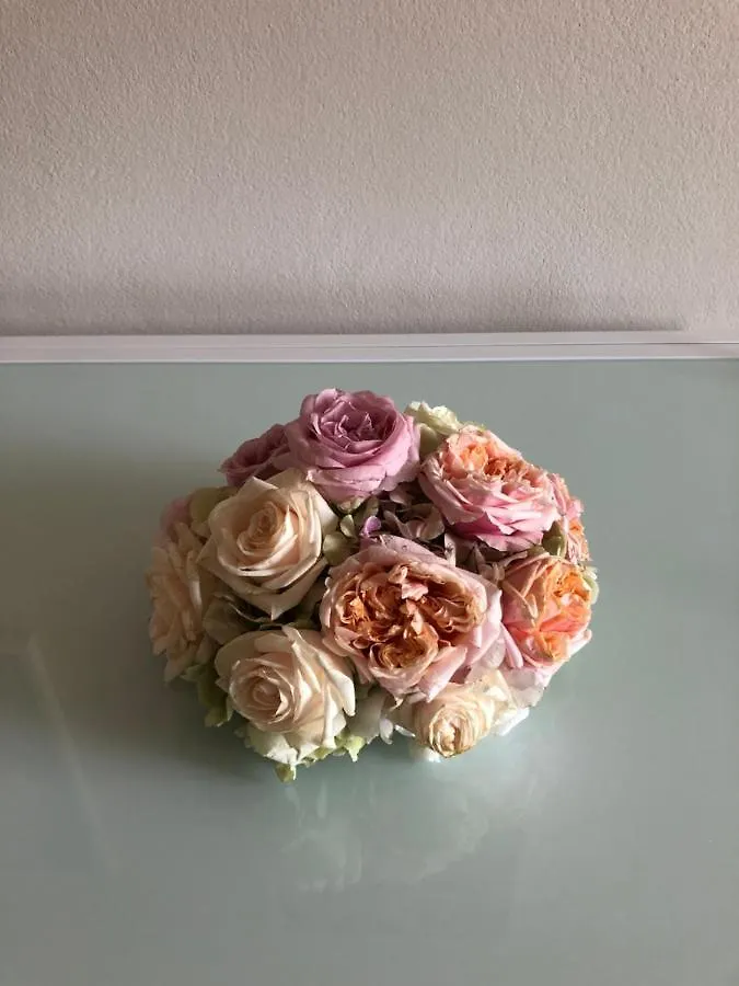 Vivi Cernobbio, La Sua Arte, La Sua Magia Apartment